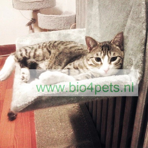 rek Belang Meenemen Katten Radiatorhangmat- in verschillende kleuren - Bio4Pets